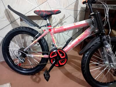 Imported Bicycle 20 size" – Perfect for Kids (8–14 Years)