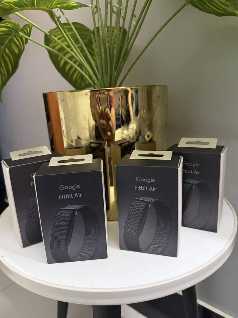 Google Fitbit Air 4