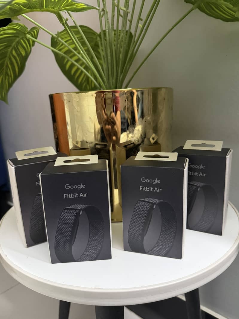 Google Fitbit Air 5
