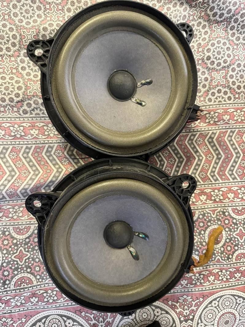Speaker 5