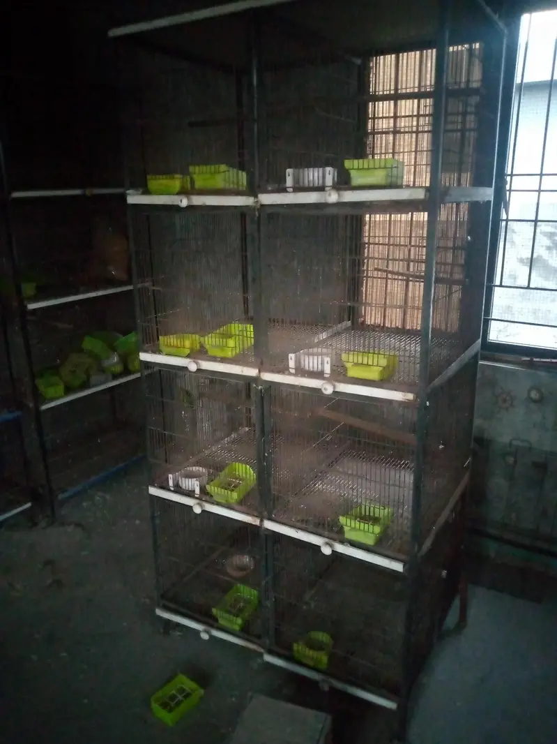 birds cages — photo 2