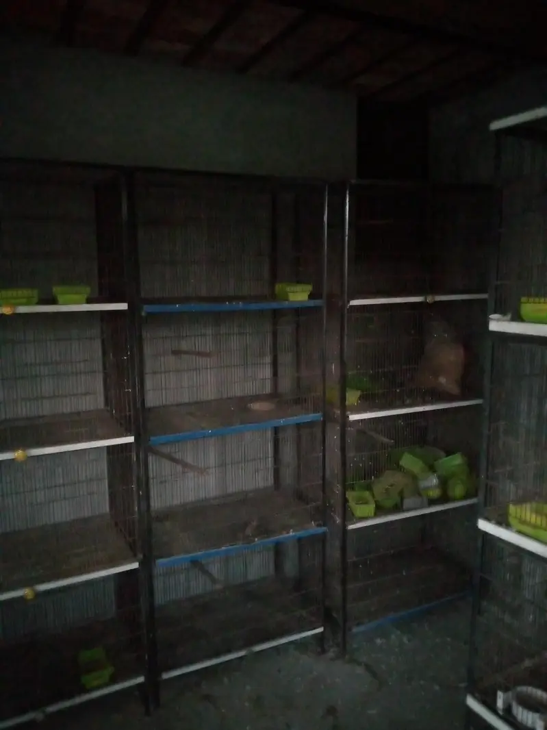 birds cages — photo 3