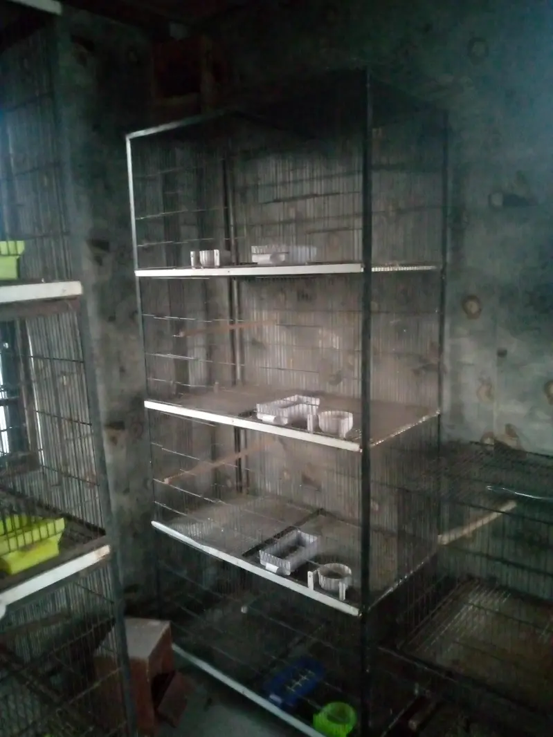 birds cages — photo 4