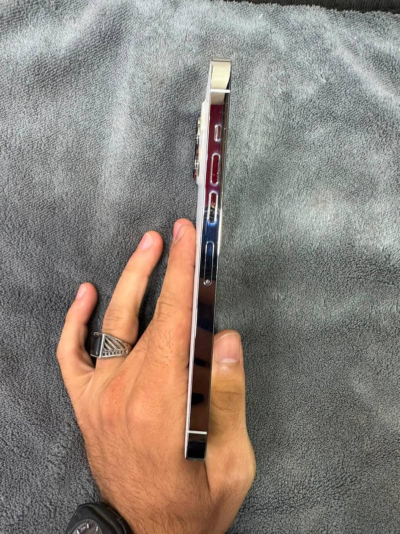 Apple iPhone 13 Pro Max 1
