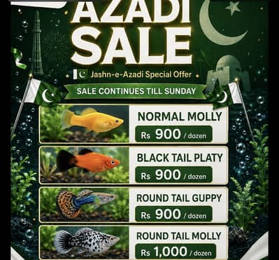Azadi offer on all fishes
