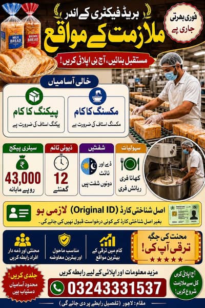 bread  factory need urgent helpers