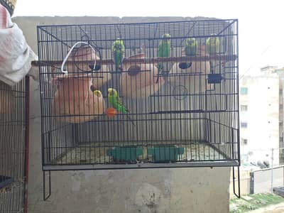 all babies healthy