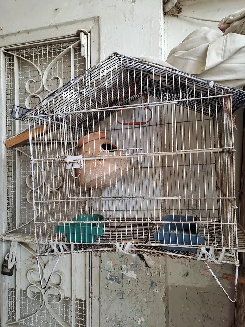all babies healthy — photo 2