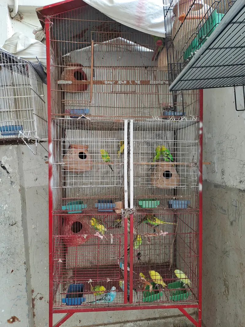 all babies healthy — photo 3