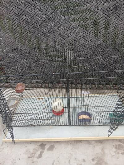 birds cage, Hen cage