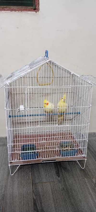 cocktail with cage