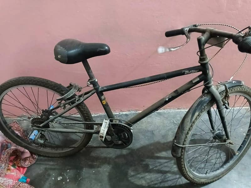 cycle 2