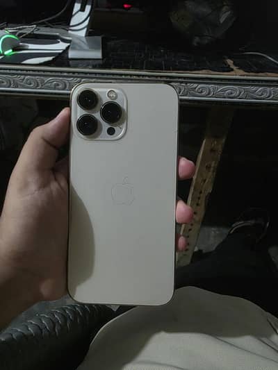 Apple iPhone 13 Pro Max 10/10