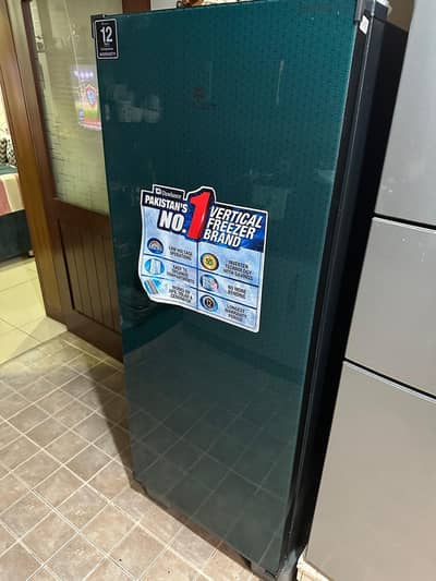 Dawlance Vertical Freezer 10GWD Glass Front | Excellent Condition
