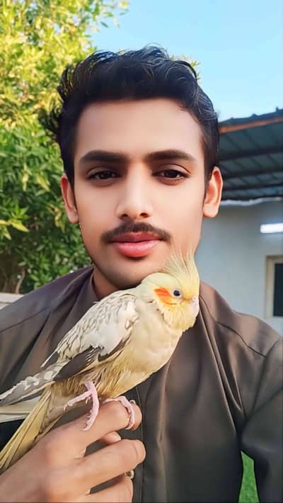 M Irfan