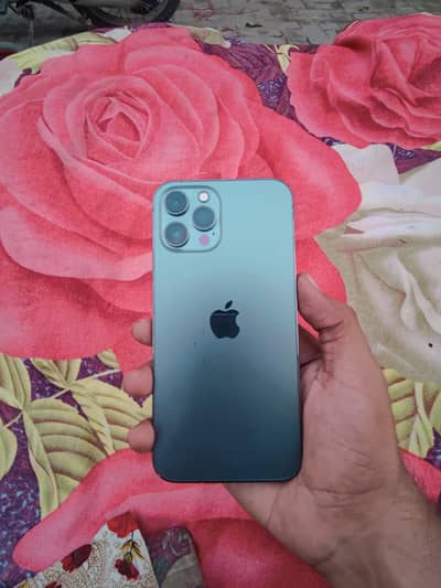 iPhone 12 pro max