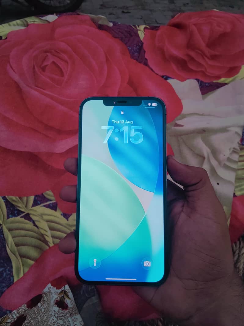 iPhone 12 pro max 4