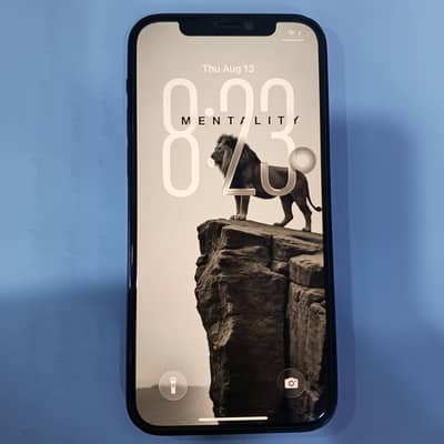 Apple iPhone 12