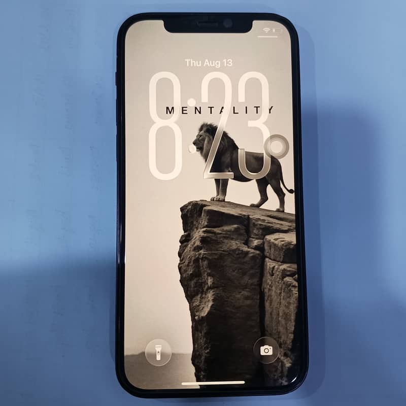 Apple iPhone 12 0