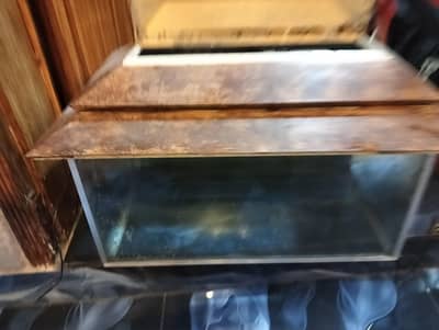 aquarium fish tank