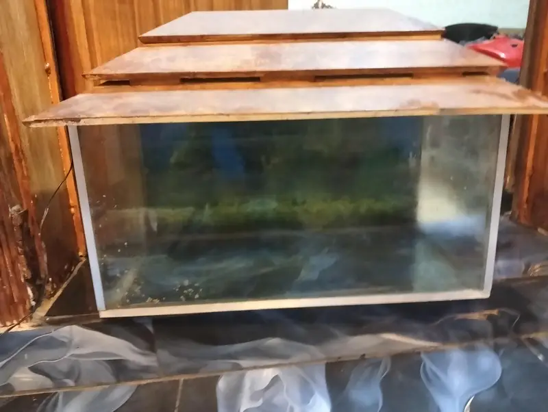 aquarium fish tank — photo 3