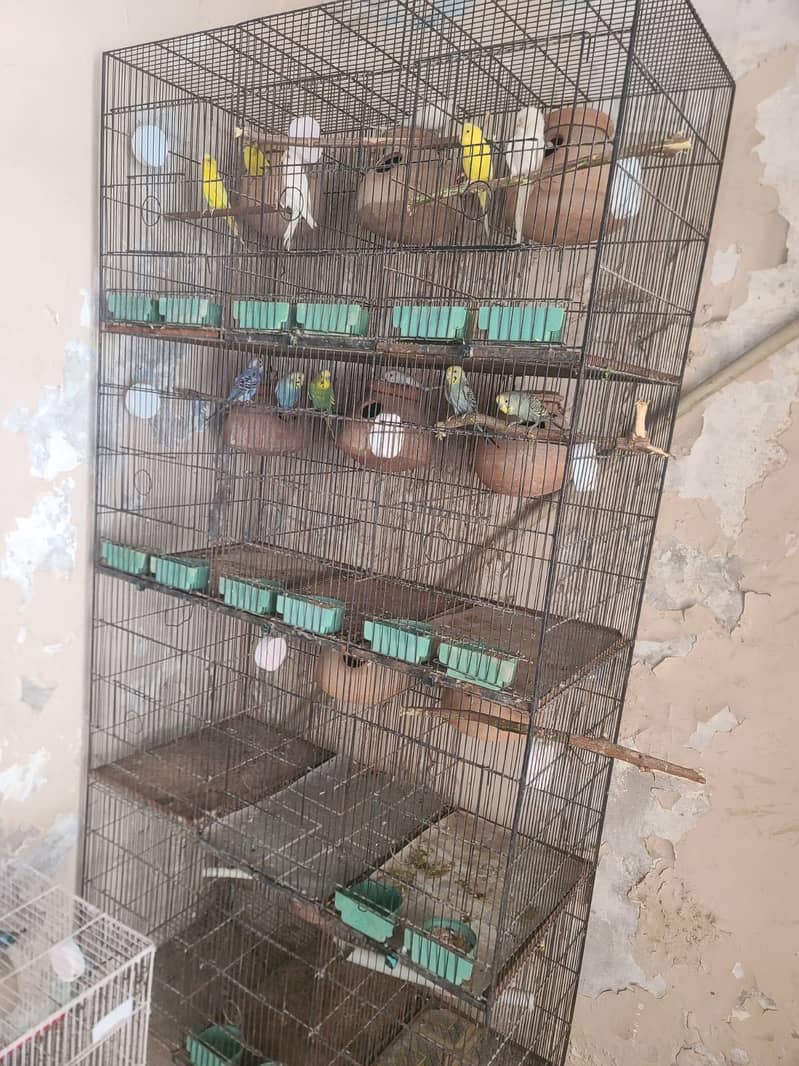 12 potion cage 0