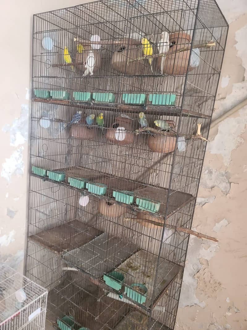 12 potion cage 1