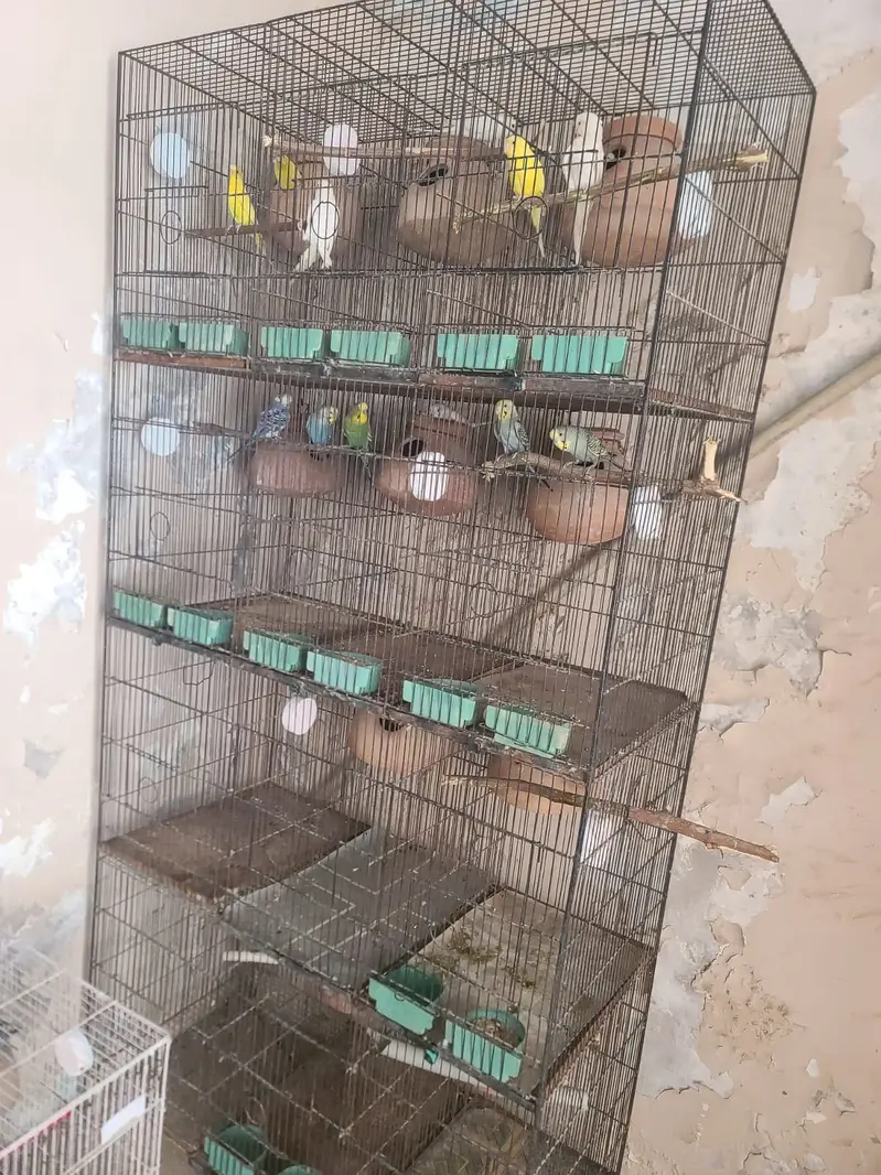 12 potion cage — photo 2