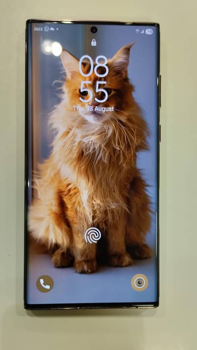 Samsung Mobile S22 Ultra 12/512 gb