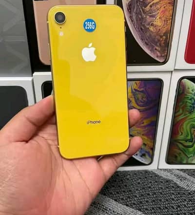 iPhone XR 128 GB PTA proof