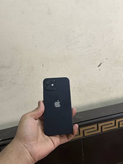 Apple iPhone 12