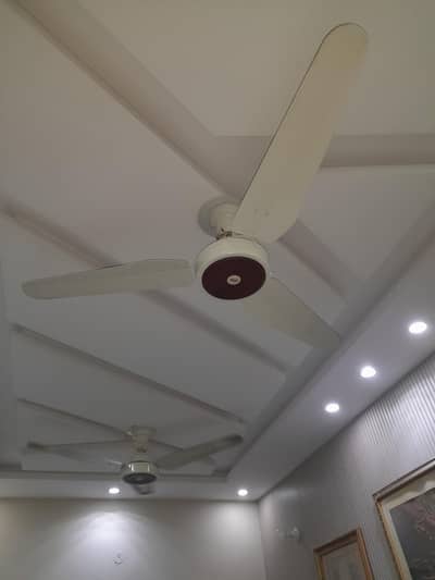 ceiling fan