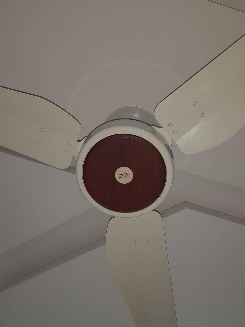 ceiling fan 1