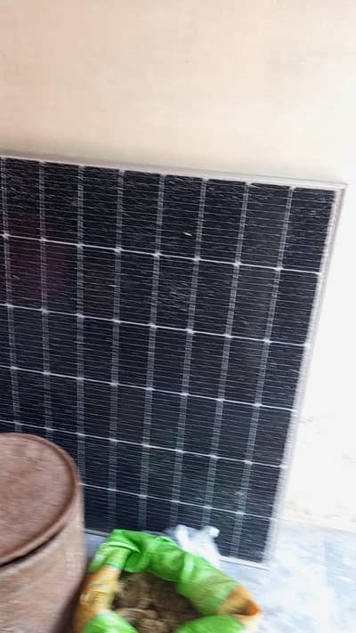 dollar panel