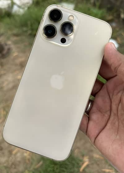 Apple iPhone 13 Pro Max