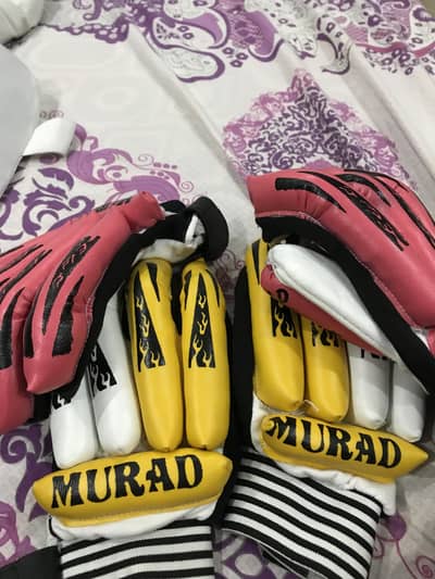 A cricket kit