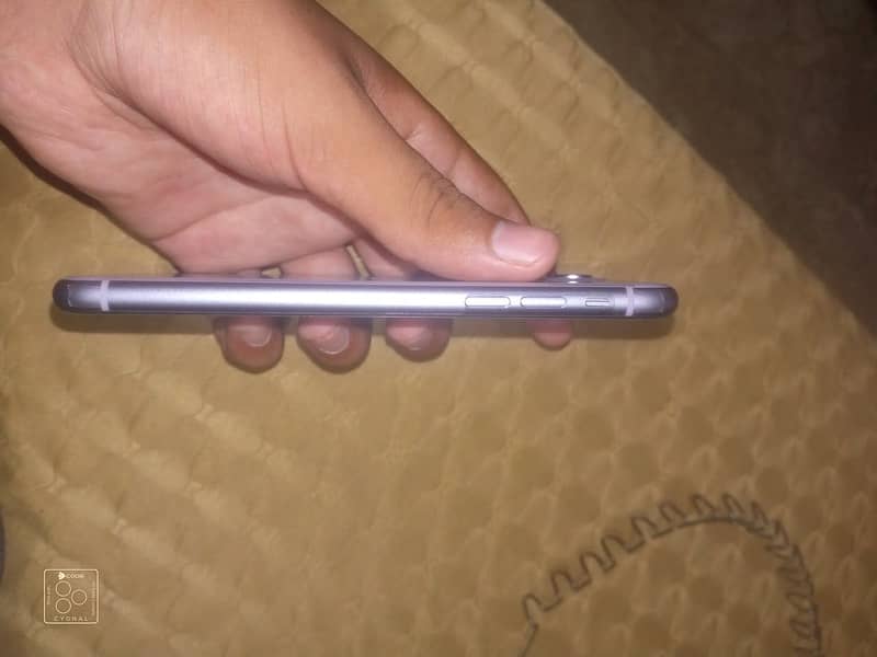 Apple iPhone 11 3