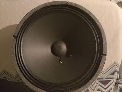 original Filo speaker 12"