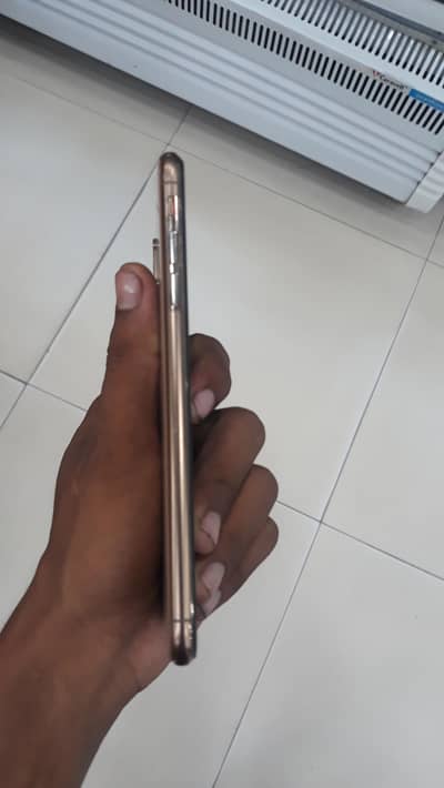 Apple iPhone X s max