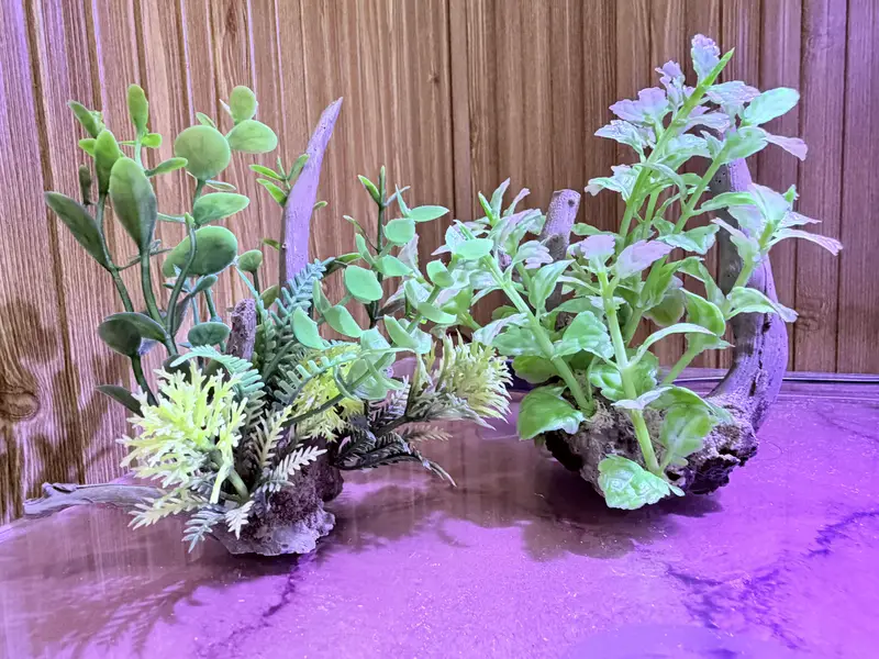 Glass fish aquarium tank only — photo 4