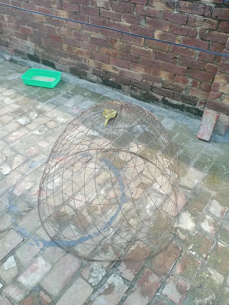 cage for sale — photo 3