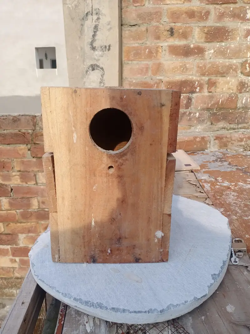 cage for sale — photo 5