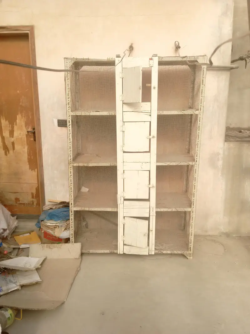4-Floor Metal Hen Cage | 6ft Height | Chicken Cage - Murgi Pinjra — photo 9