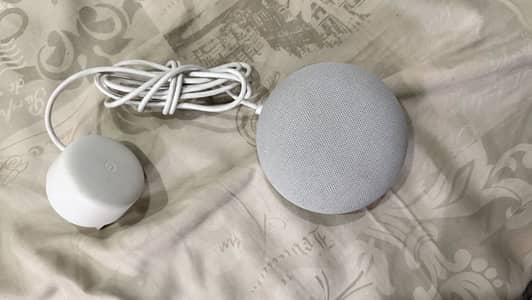 Google nest mini 2( latest one)