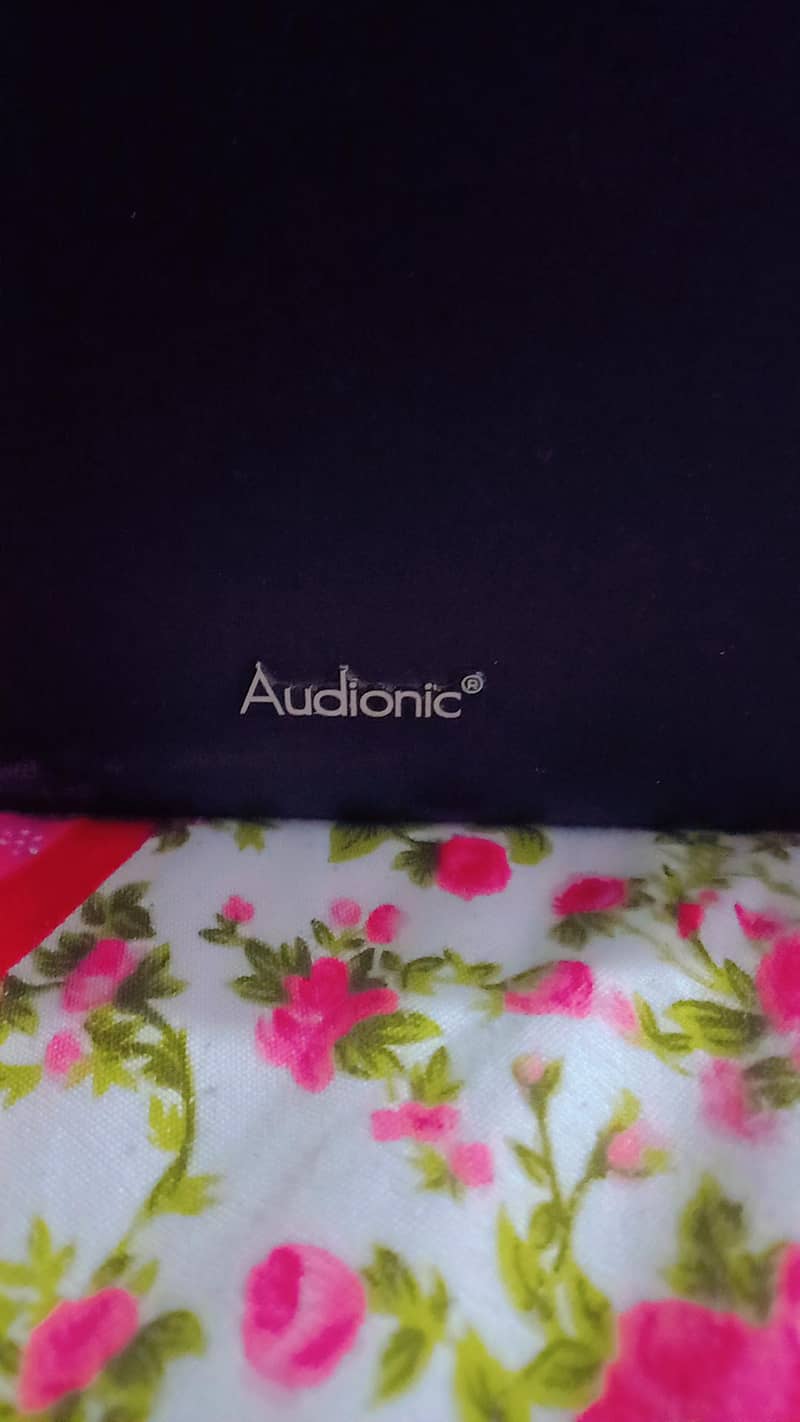 audionic speakers 2