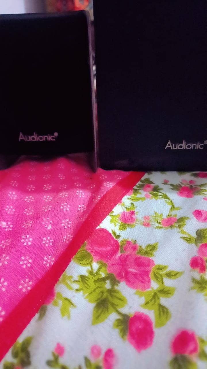 audionic speakers 5