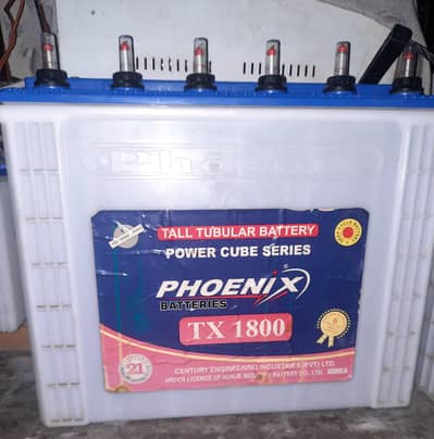 phoenix 1800