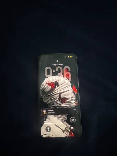 Iphone 13 pro condition mentioned