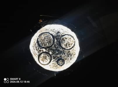  Beautiful Moon Light | Handmade Decorative Lamp | Craft Aura