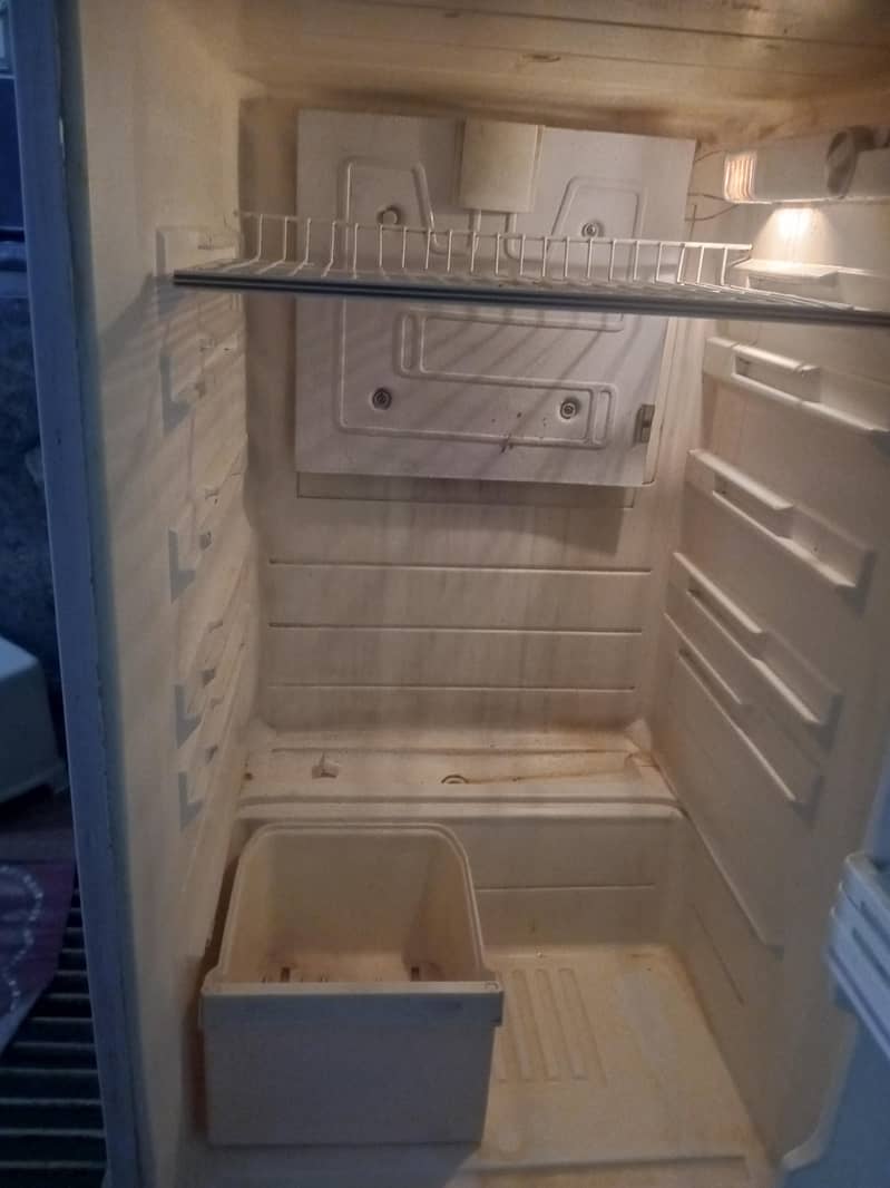 waves fridge 4